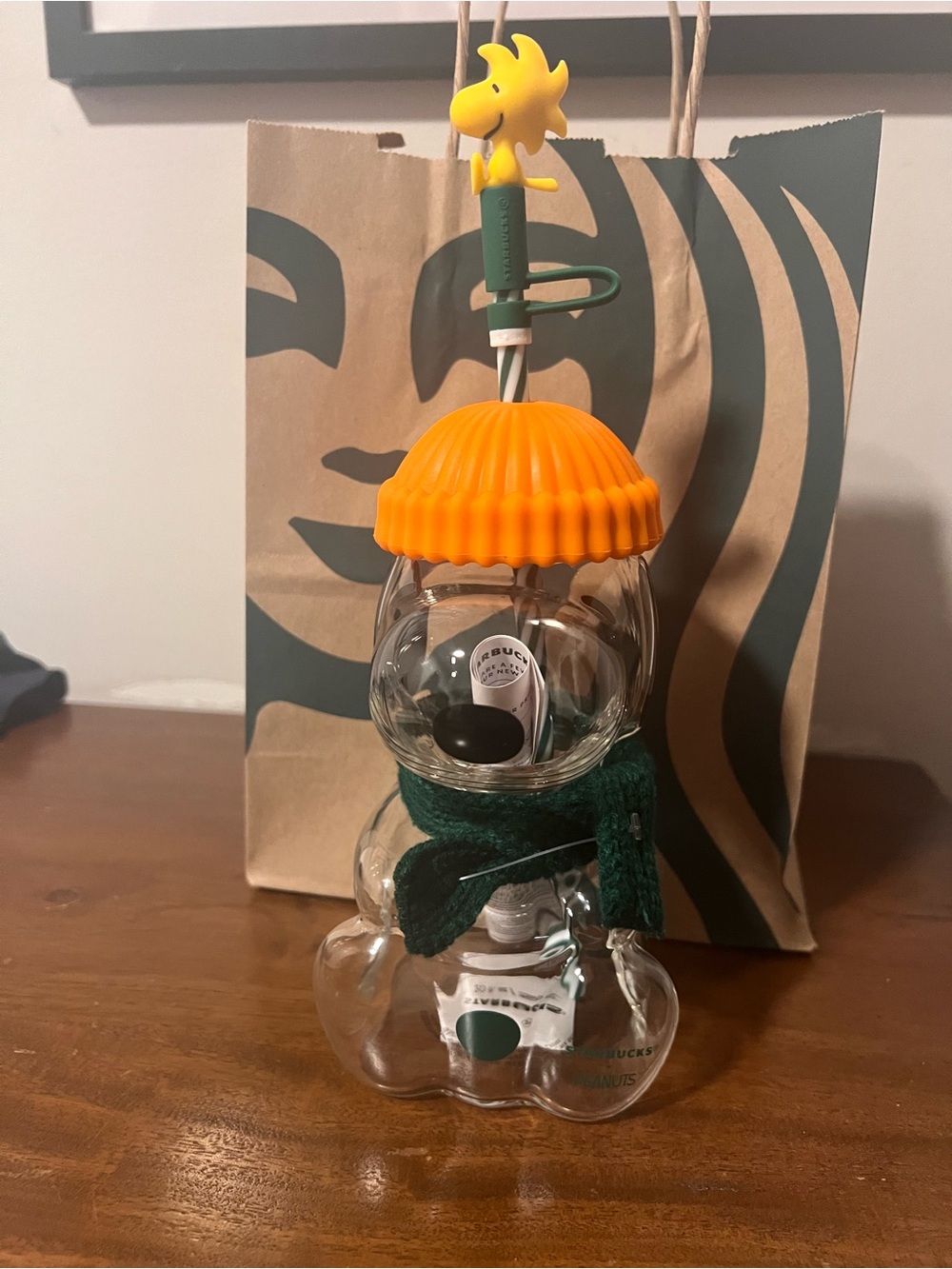 Starbucks Kids Snoopy Bottle with Orange Hat and Green Scarf Woody Accent